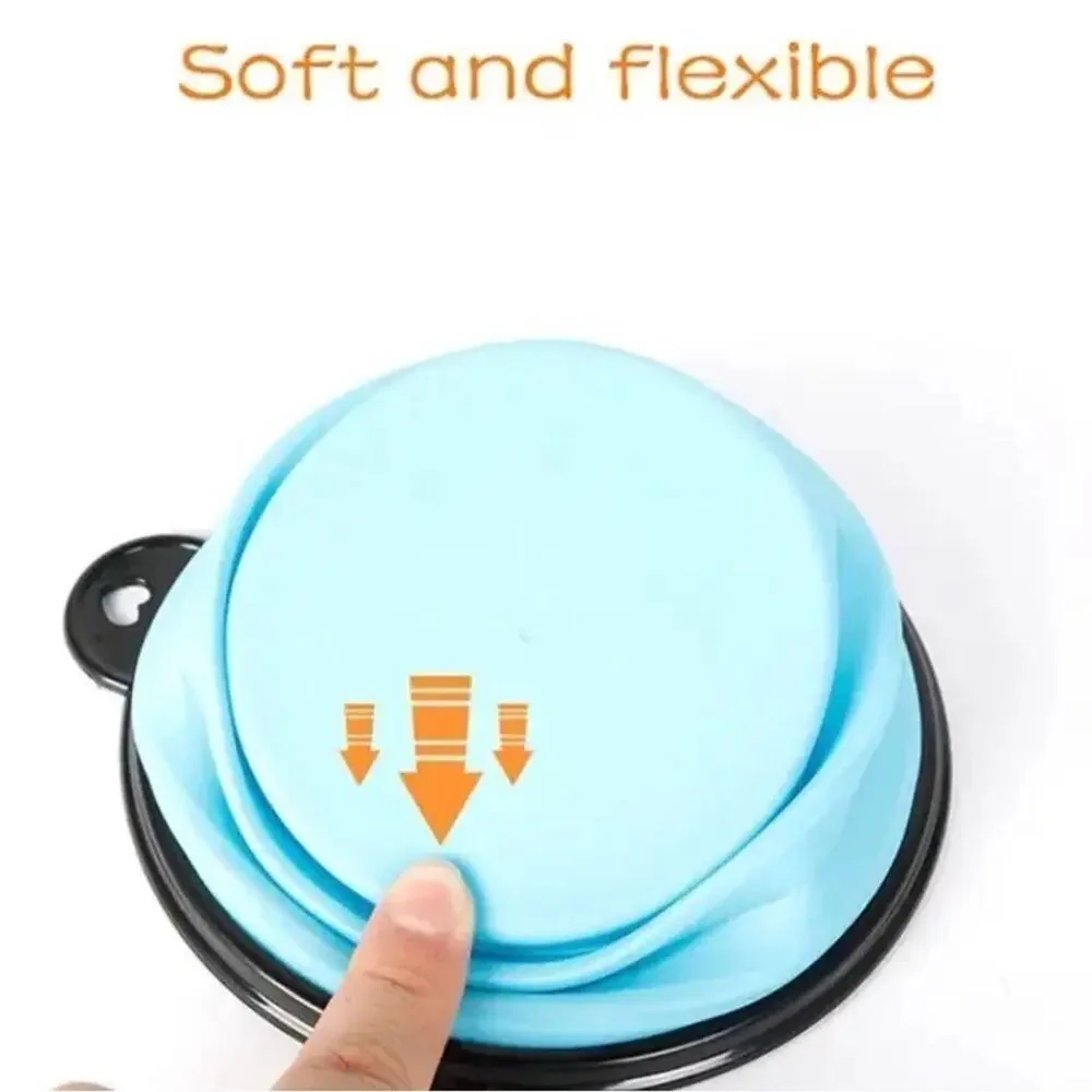 New collapsible dog dish
